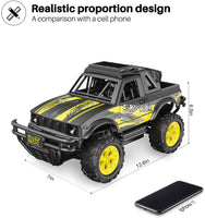 DoDoeleph 4WD 2.4GHz ON/Off-Road Remote Control Truck w/2 Batteries