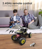 DoDoeleph 2201A On And Off-Road RC Truck 2WD 2.4 GHz with 2 Rechargeable Batteries