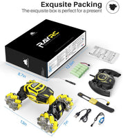 Dodoelephant Gesture Sensing RC Stunt Car with 2 Rechargeable Batteries